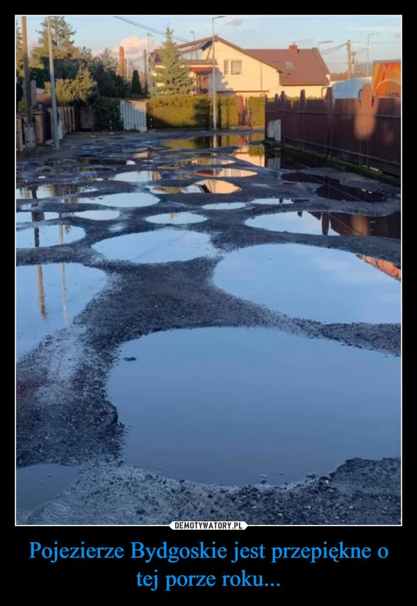 
    Pojezierze Bydgoskie jest przepiękne o tej porze roku...