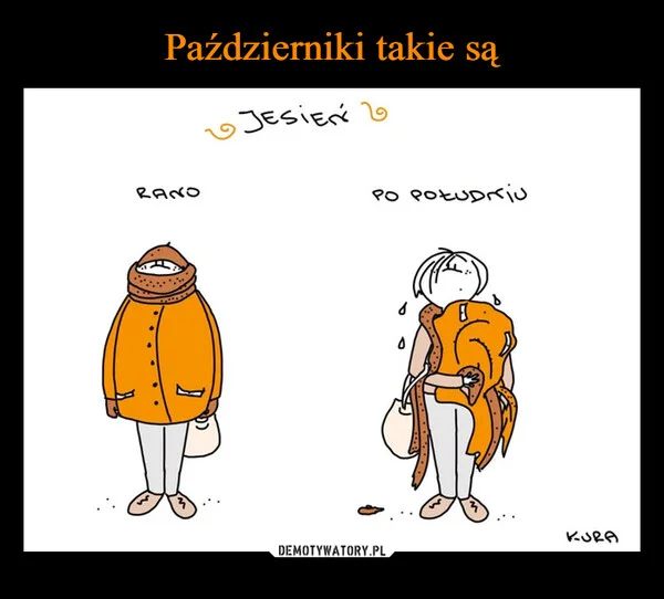 
    Październiki takie są