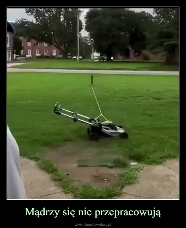 
    Mądrzy się nie przepracowują