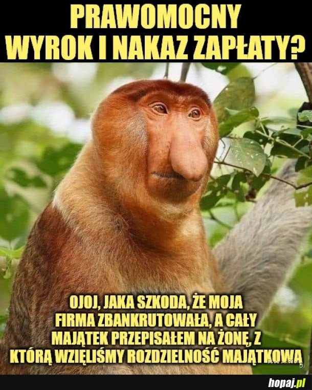 
    Jak mi przykro.