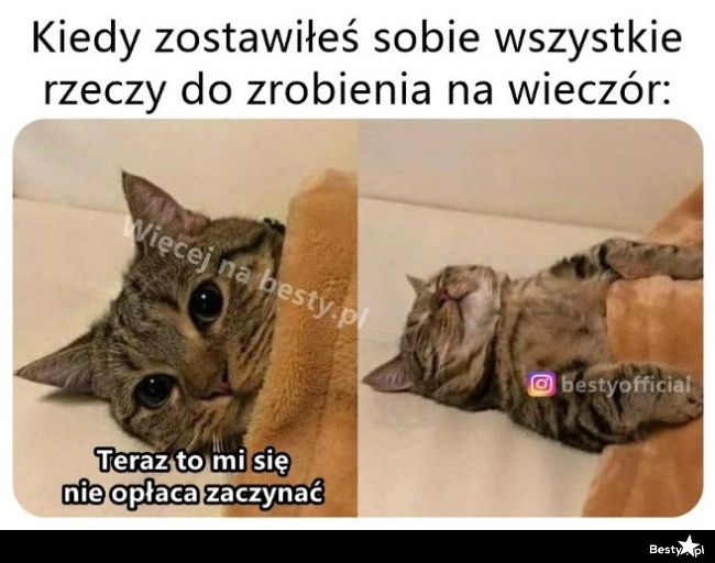 
    Pozostały tylko wyrzuty sumienia 