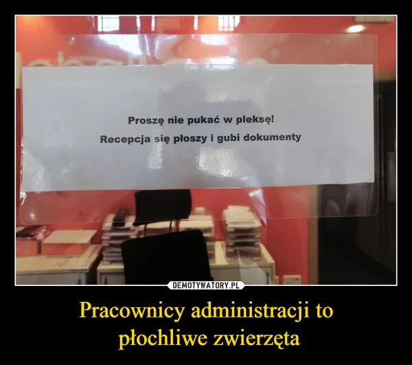 
    Pracownicy administracji to płochliwe zwierzęta