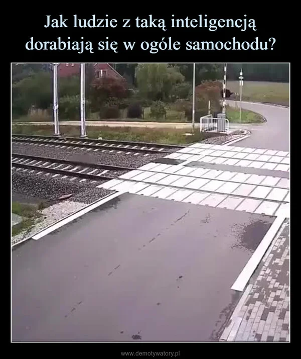 
    Jak ludzie z taką inteligencją dorabiają się w ogóle samochodu?