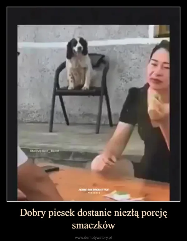 
    Dobry piesek dostanie niezłą porcję smaczków