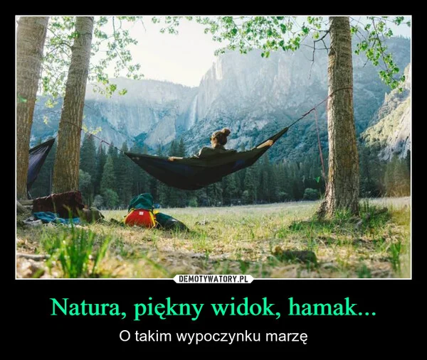 
    Natura, piękny widok, hamak...