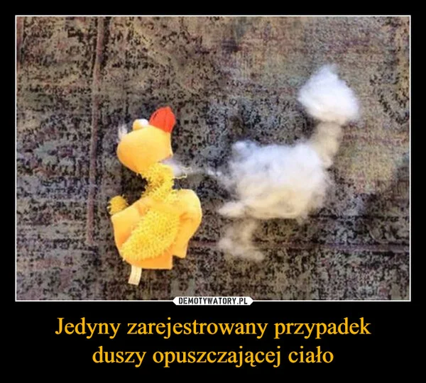 
    Jedyny zarejestrowany przypadek duszy opuszczającej ciało