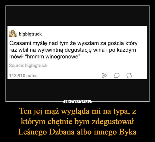 
    Ten jej mąż wygląda mi na typa, z którym chętnie bym zdegustował Leśnego Dzbana albo innego Byka