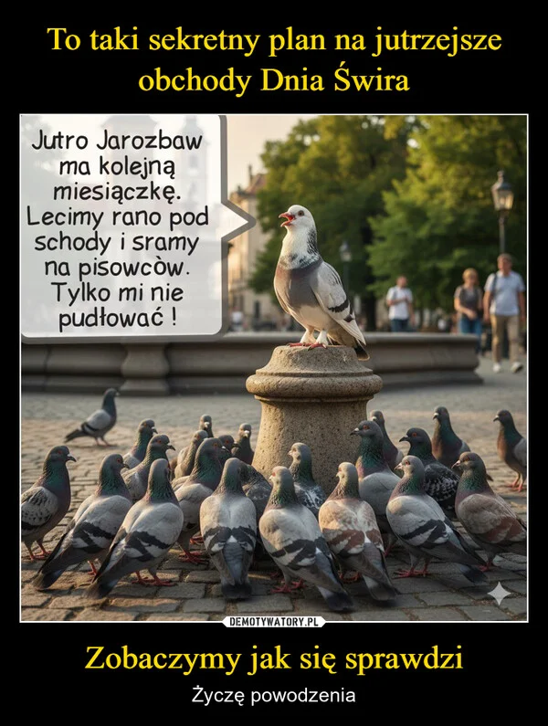 
    To taki sekretny plan na jutrzejsze obchody Dnia Świra Zobaczymy jak się sprawdzi