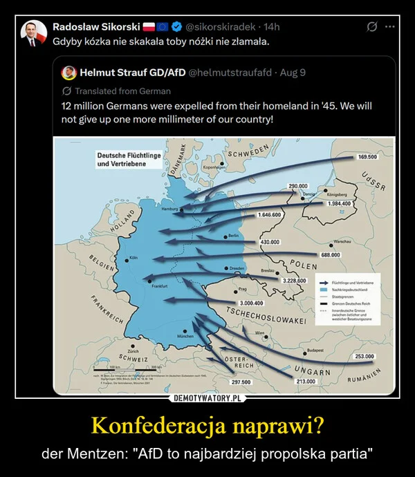 
    Konfederacja naprawi?