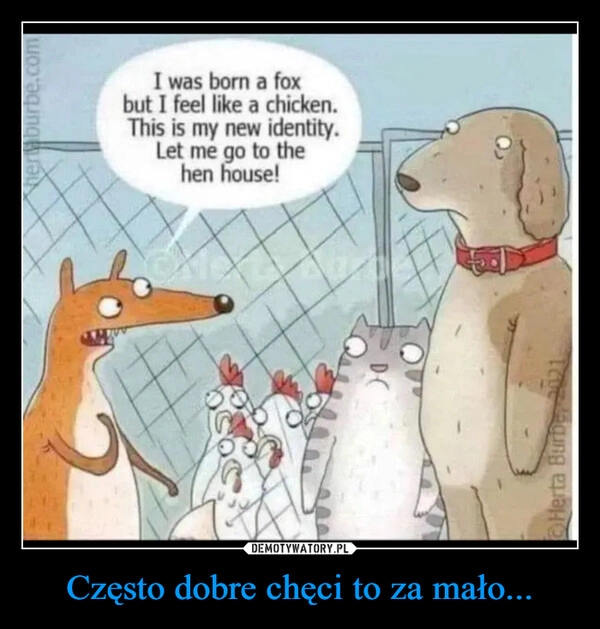 
    Często dobre chęci to za mało...