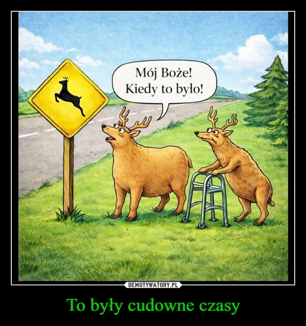 
    To były cudowne czasy
