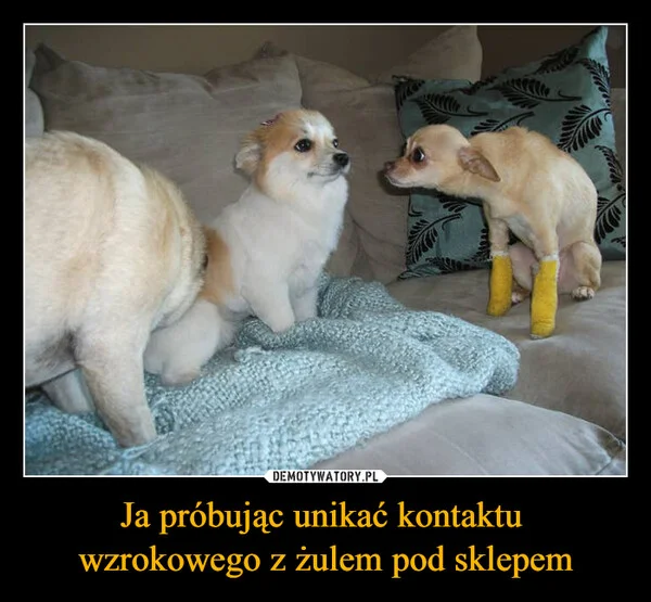 
    Ja próbując unikać kontaktu wzrokowego z żulem pod sklepem