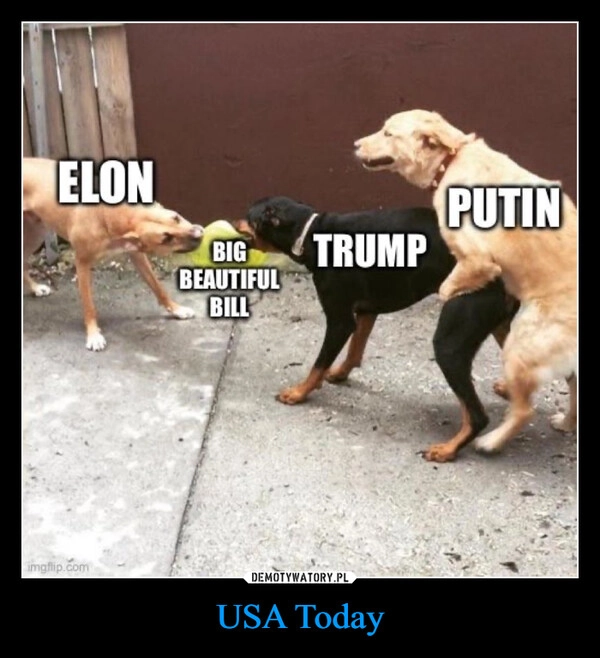 
    USA Today