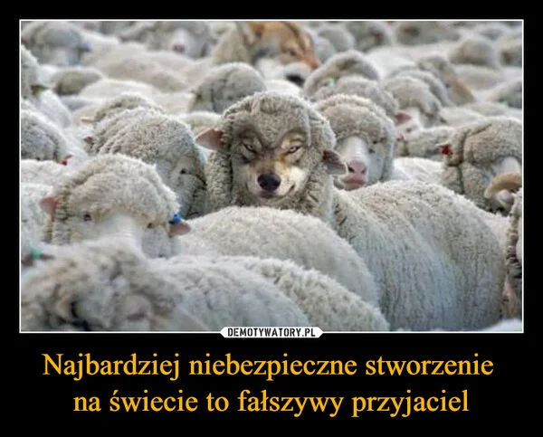 Najbardziej niebezpieczne stworzenie na świecie to fałszywy przyjaciel