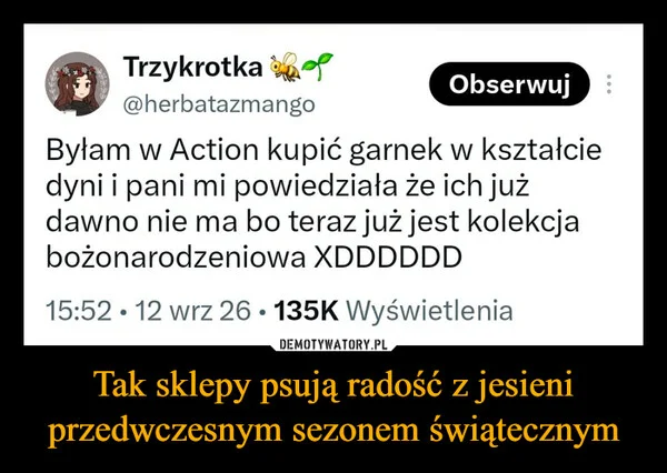 
    Tak sklepy psują radość z jesieni przedwczesnym sezonem świątecznym