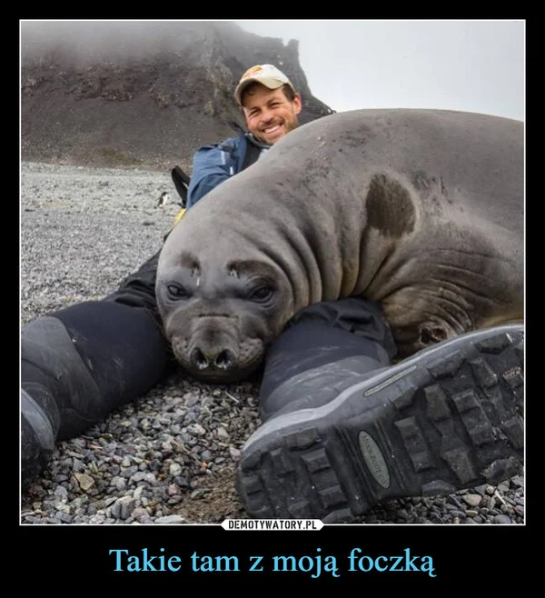 
    Takie tam z moją foczką