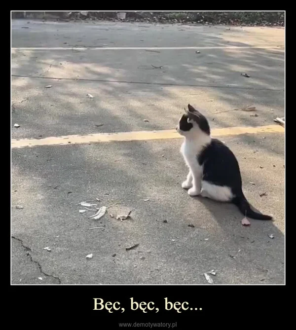 
    Bęc, bęc, bęc...