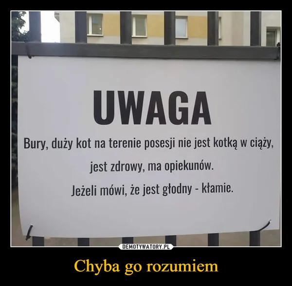 
    Chyba go rozumiem