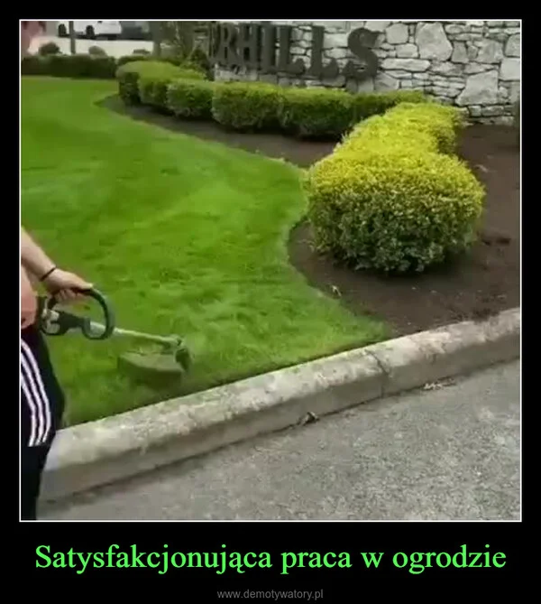 Satysfakcjonująca praca w ogrodzie