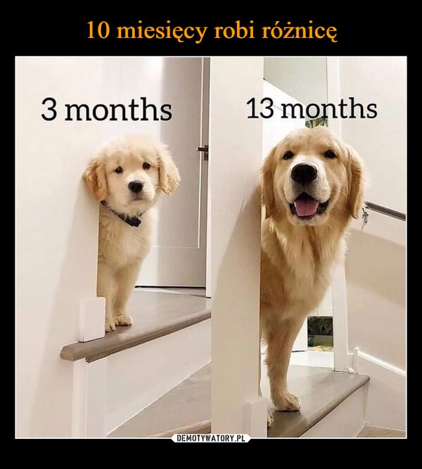 
    10 miesięcy robi różnicę