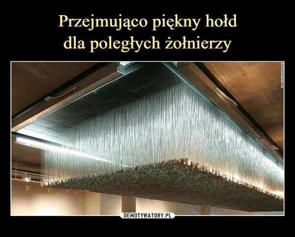 
    Przejmująco piękny hołd dla poległych żołnierzy
