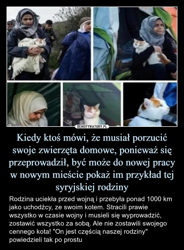 Kiedy ktoś mówi, że musiał porzucić swoje zwierzęta domowe, ponieważ się przeprowadził, być może do nowej pracy w nowym mieście pokaż im przykład tej syryjskiej rodziny