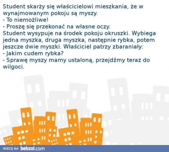 
    Mieszkanie studenckie