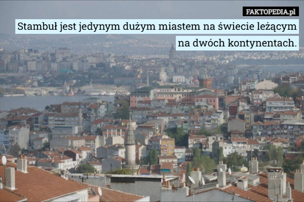 
    Stambuł jest jedynym dużym miastem na świecie leżącym na dwóch kontynentach.