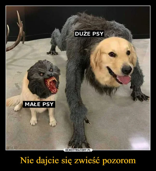 
    Nie dajcie się zwieść pozorom