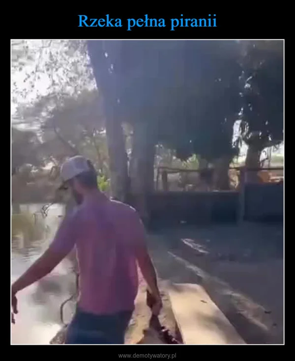
    Rzeka pełna piranii