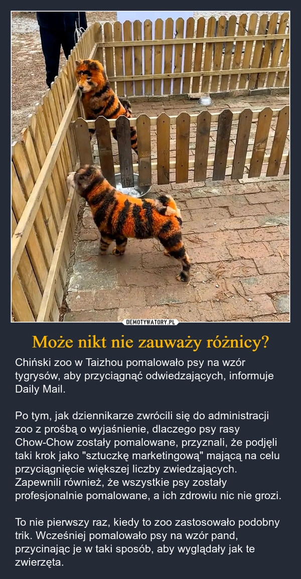 
    Może nikt nie zauważy różnicy?