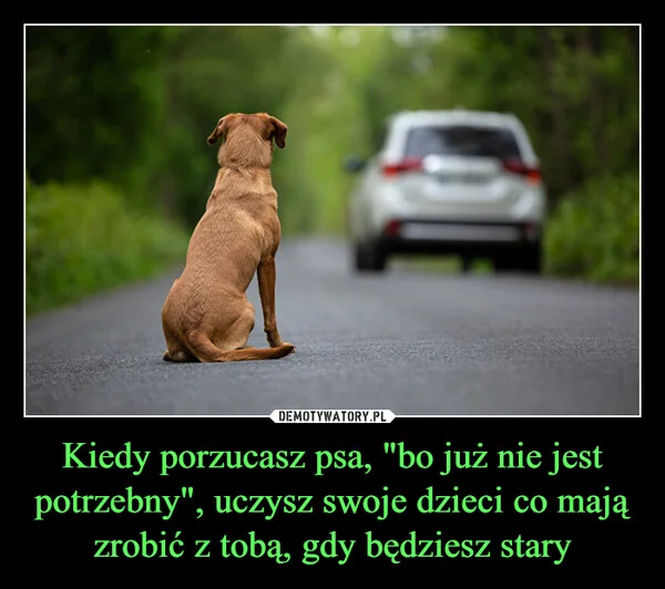
    Kiedy porzucasz psa, 