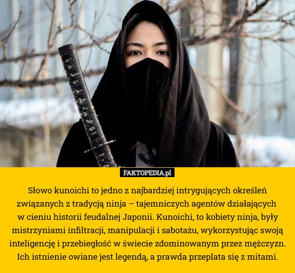 
    Słowo kunoichi to jedno z najbardziej intrygujących określeń związanych