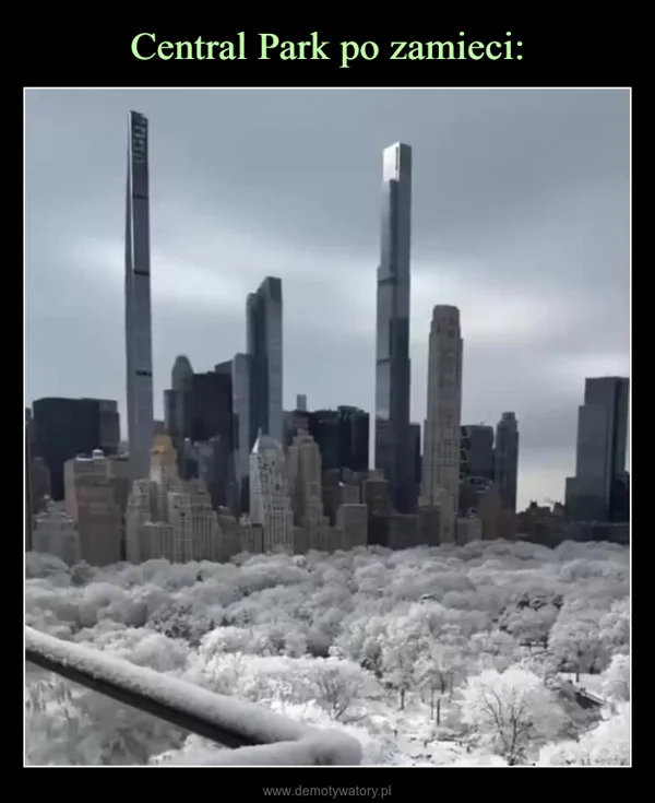 
    Central Park po zamieci: