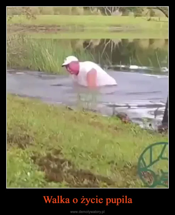 
    Walka o życie pupila