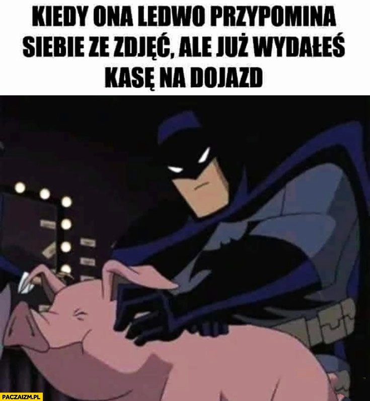 
    Batman świnia kiedy ona ledwo przypomina siebie ze zdjęć ale już wydałeś kasę na dojazd