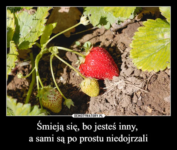 
    Śmieją się, bo jesteś inny, a sami są po prostu niedojrzali