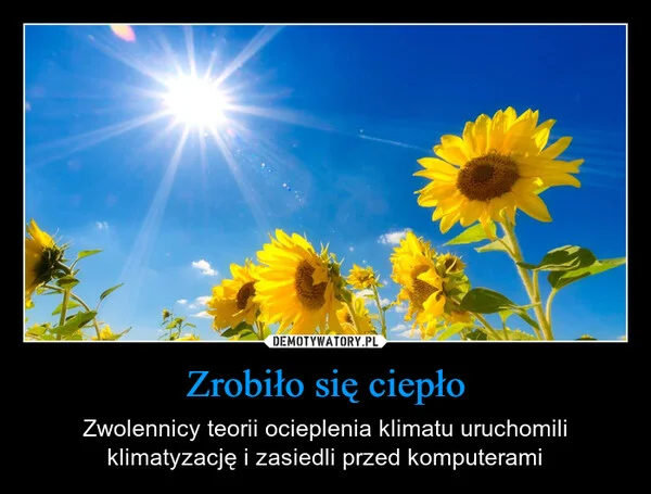 Zrobiło się ciepło