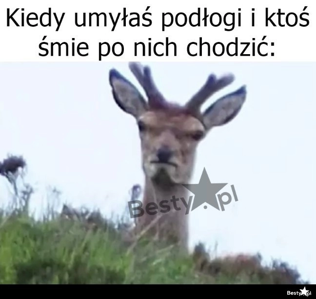 
    Jeszcze dobrze nie wyschły, a już brudzą 