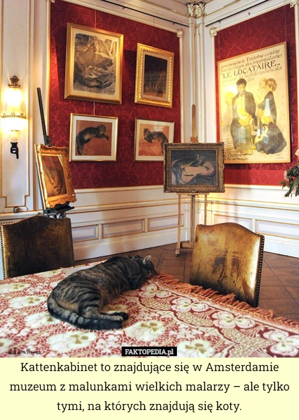 
    Kattenkabinet to znajdujące się w Amsterdamie muzeum z malunkami wielkich