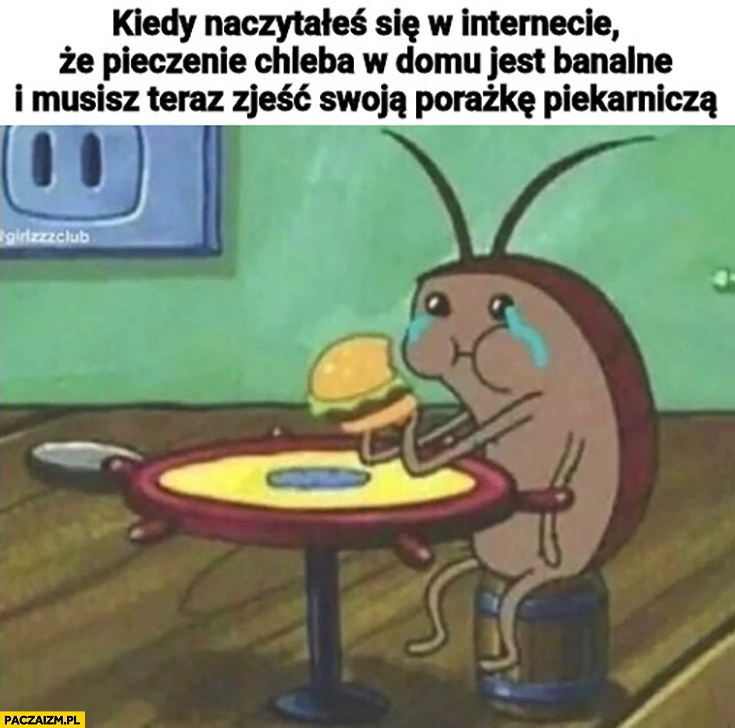 
    Kiedy naczytałeś się w internecie, że pieczenie chleba w domu jest banalne i musisz teraz zjeść swoją porażkę piekarniczą