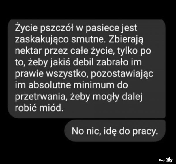 
    Życie pszczół w pasiece 