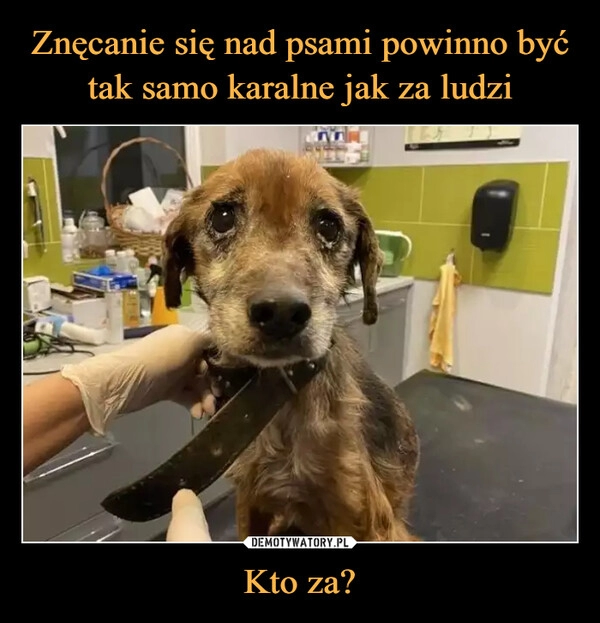 
    
Znęcanie się nad psami powinno być tak samo karalne jak za ludzi Kto za? 