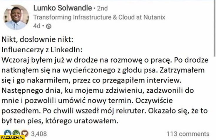 
    Influencerzy z Linkedin historia opowieść: nakarmiłem psa, przegapiłem interview ten pies to był mój rekruter
