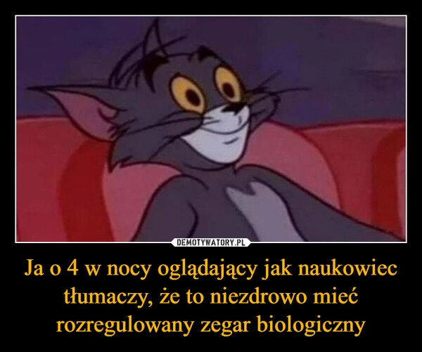 
    Ja o 4 w nocy oglądający jak naukowiec tłumaczy, że to niezdrowo mieć rozregulowany zegar biologiczny
