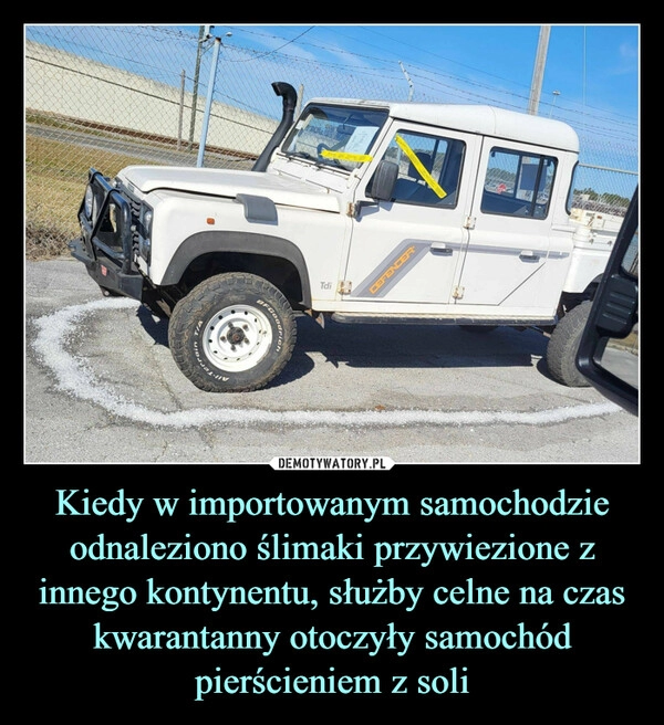 
    Kiedy w importowanym samochodzie odnaleziono ślimaki przywiezione z innego kontynentu, służby celne na czas kwarantanny otoczyły samochód pierścieniem z soli 