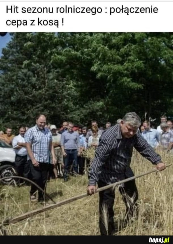 
    Do muzeum, za szkło