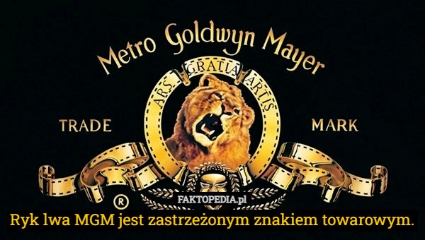 
    Ryk lwa MGM jest zastrzeżonym znakiem towarowym.