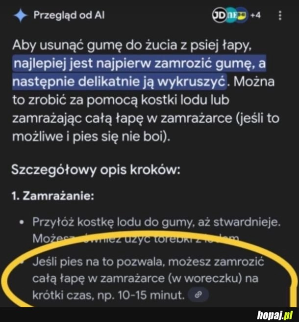 
    Jeśli pies pozwoli, to można