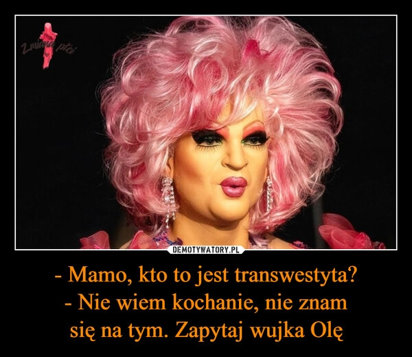 
    - Mamo, kto to jest transwestyta?
- Nie wiem kochanie, nie znam
się na tym. Zapytaj wujka Olę